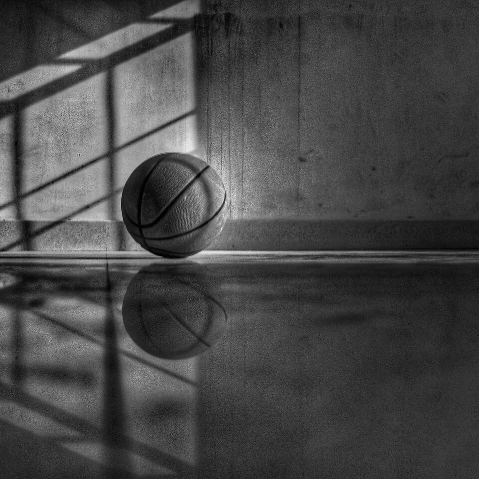 basket basket